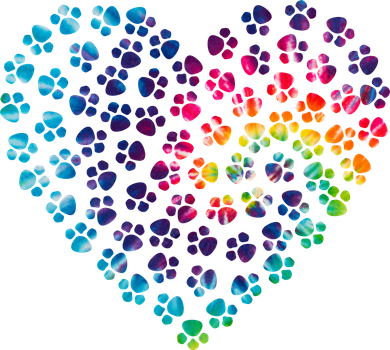 Rainbow Paw Print Heart Dog Lover Women's Long Sleeve Shirt