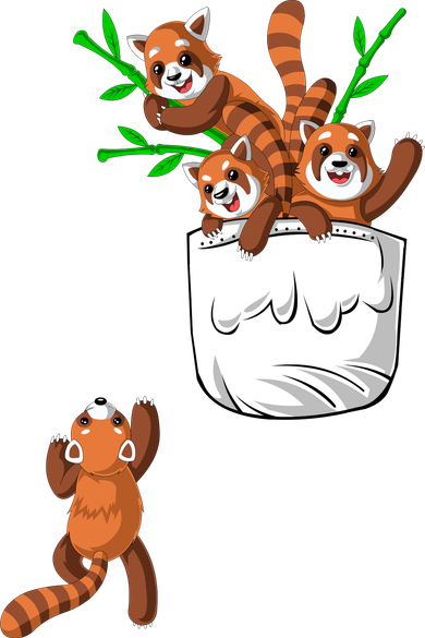 Red Panda Coaster
