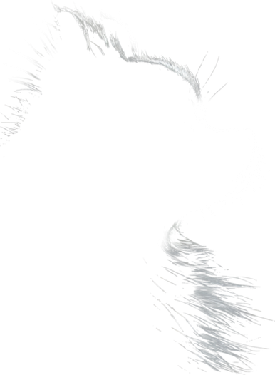 Retro Pomeranian Silhouette Golf Towel