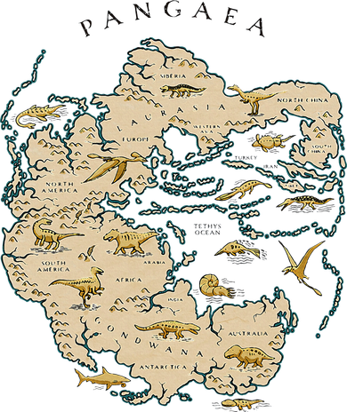 Reunite Pangaea World Map History Geology Earth Geologist Coaster