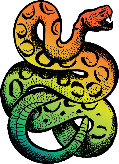 Rainbow Rattlesnake Button