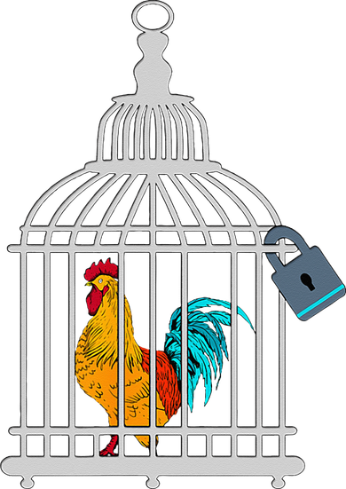 RED ROOSTER COCK MALE CHASTITY Chicken In Cage Pajama Set