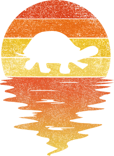 Retro Sunset 70s Vintage Turtle 11oz C Handle Ceramic Mug