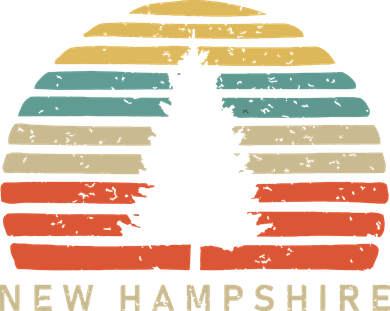 Retro Sunset New Hampshire Pine Tree Toddler Hoodie