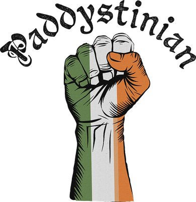 Retro Strong Paddystinian Irish Palestine Flag Women's Hoodie