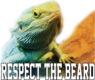 Respect The Beard Funny Bearded Dragon Tumbler