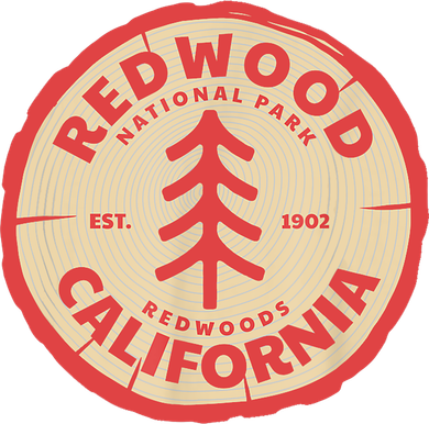 Redwood Trees In The National Forest TShirt Doggie Tank