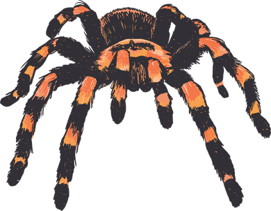 Realistic Tarantula Button