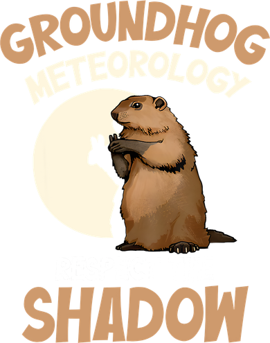 Respect The Shadow Meteorology Funny Groundhog Day Baby Bodysuit