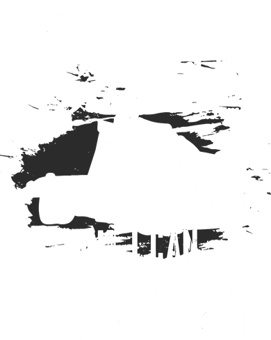 Rollback Tow Truck I CanT Fix Stupid But I Can Tow It Button