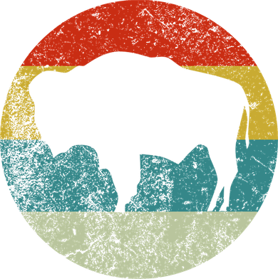 Retro Vintage Bison Tumbler