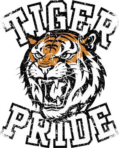 Retro Vintage Tiger Pride Tiger Mascot School Sports Team Hat