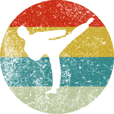 Retro Vintage Taekwondo Toddler Hoodie