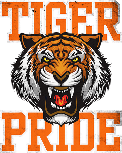 Retro Vintage Tiger Pride Tiger Mascot School Sports Team Women's Hoodie