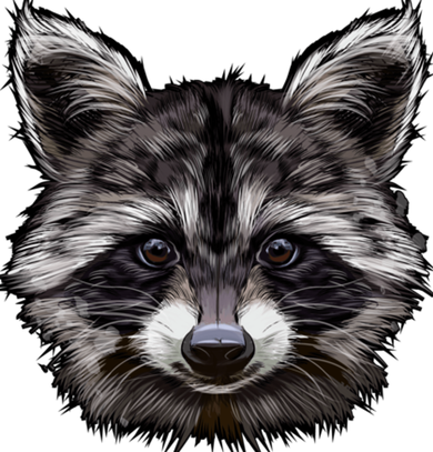 Raccoon Whisperer Raccoons Raccoon Lover Raccoon Bucket Hat