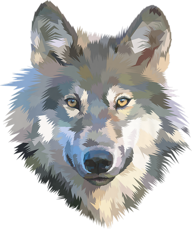 Realistic White Wolf, Realistic Animal Print With Colors Premium Kids Sweatshirt