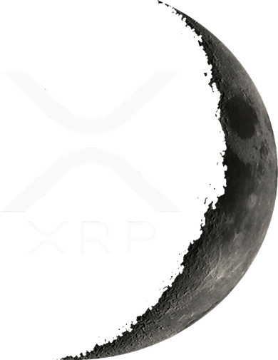 Ripple Xrp Moon Toddler T-Shirt