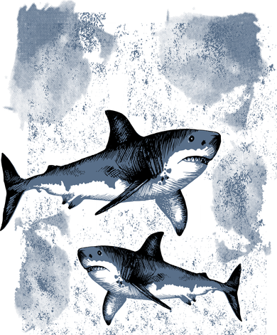 Shark Pajama Set