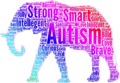 Autism Awareness Elephant Quotes Women's Long Sleeve Shirt