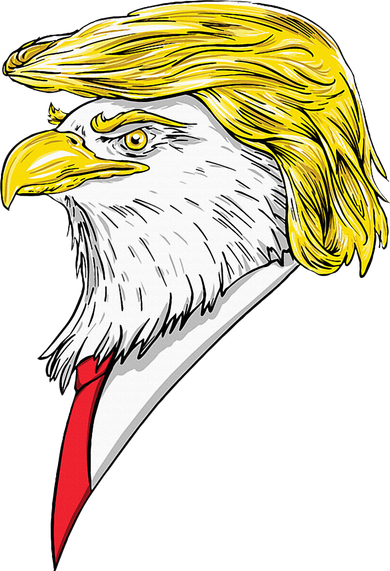 Spirit Animal Donald Trump Eagle Hair T-Shirt