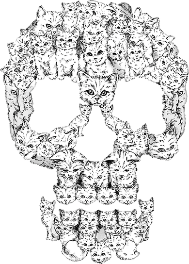 Skulls Are For Pussies Women's Hoodie