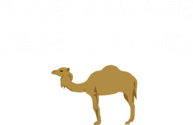 Save A Horse Ride A Camel Funny Coffee Mug