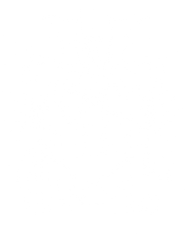 Samurai Tiger Kids Hoodie