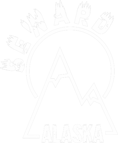 Seward Alaska State / Vintage Mountain Design Seward, AK Kids Long Sleeve Shirt