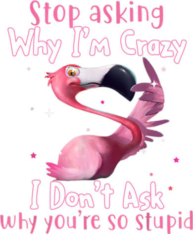 Stop Asking Why I'm Crazy I Don't Ask Why You're So Stupid Funny Women's Tank Top
