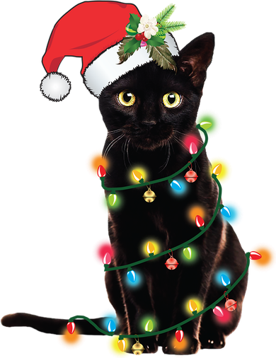 Santa Black Cat Tangled Up In Christmas Tree Lights Holiday Gift Kids T-Shirt