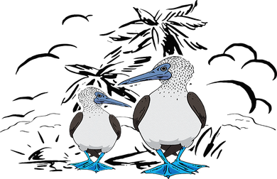 Seabirds Blue Footed Booby Bird Galapagos Islands Kids Hoodie