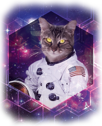 Astronaut Space Cat1 Santa Hat