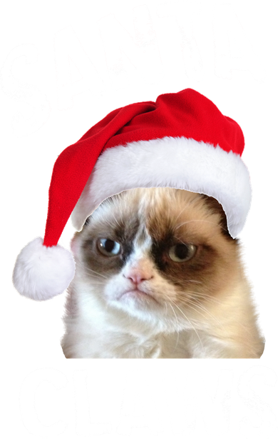 Santa Claws Women's V-Neck T-Shirt