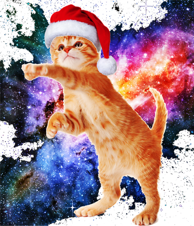Space Christmas Cat Santa Kitty Kids Sweatshirt