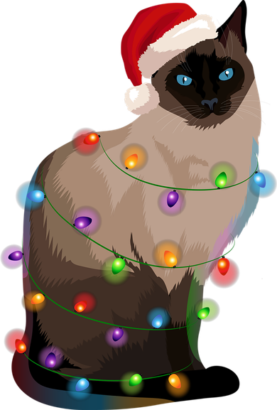 Siamese Cat Christmas Lights Xmas Cat Lover Gift Flexfit Unipanel Trucker Cap