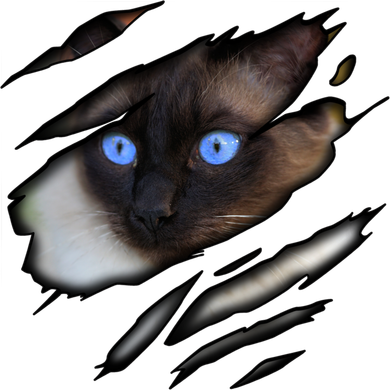 Siamese Cat In Me Design Cadesign Purebred Cat Gift Coffee Mug