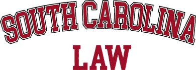 South Carolina Law Attorney Bar Graduate Lawyer Kids T-Shirt