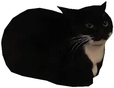 Spinning Cat Meme Maxwell The Cat Meme Coaster