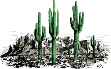 Saguaro Cactus Retro Desert Saguaro Cactus Western Nature Gift Mousepad