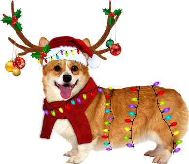 Santa Corgi Reindeer Light Christmas Gift Women's T-Shirt
