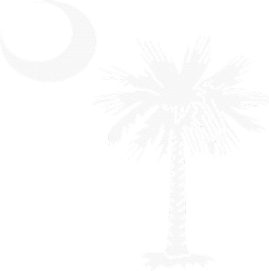 South Carolina State Flag Palmetto Tree Crescent Moon Sc Toddler Long Sleeve