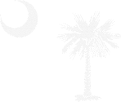 South Carolina State Flag Palmetto Moon SC Pride Women's Dry Zone Grid Polo