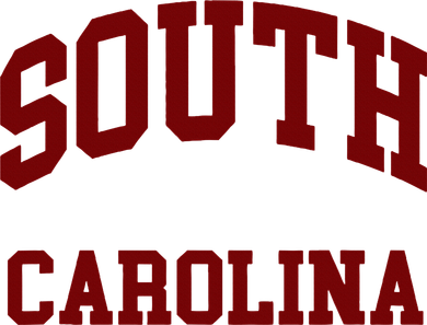 South Carolina Kids Hoodie