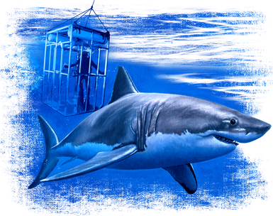 Shark Cage Kids Sweatshirt