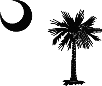 South Carolina State Flag Palmetto Moon SC Pride Kids Hoodie