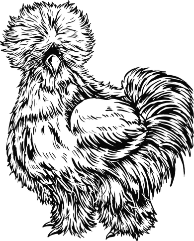 Silkie Chicken Baby Bodysuit