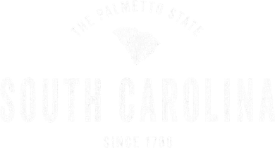South Carolina Vintage Sports Design Retro Sc Hat