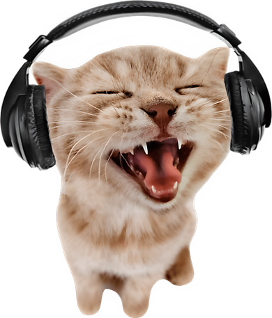Silly Cat With Headphones Doggie Tank