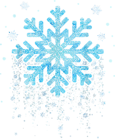Snowflake Costume Winter Christmas Matching Long Sleeve Shirt