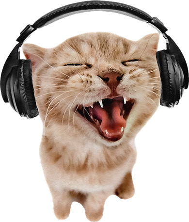 Silly Cat With Headphones Kids Hoodie